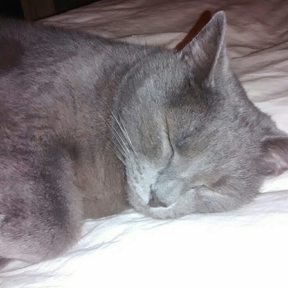 Meet your Posher, Sally - Picture 3 of 16